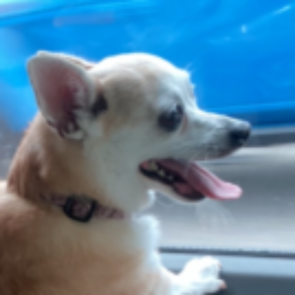 Profile picture of TheCruxy