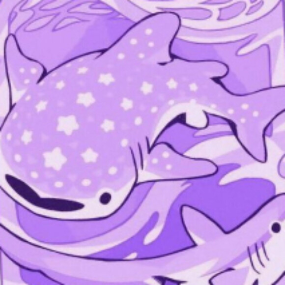 Profile picture of HalleysComet05
