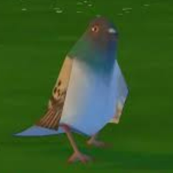 Profile picture of Bird
