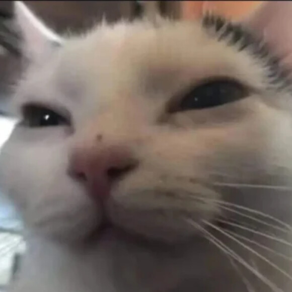 Profile picture of Alex