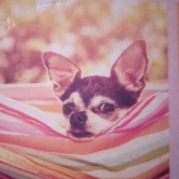 Profile picture of Tiggyboo