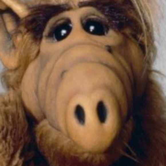 Profile picture of Alf Fan