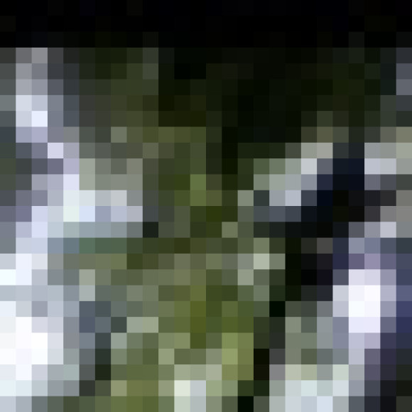 Profile picture of Nicholas_Purcell